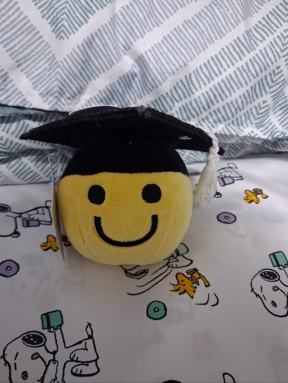 Hallmark Smiley Face Graduation Cap Plush Gift Card Money Holder NWT